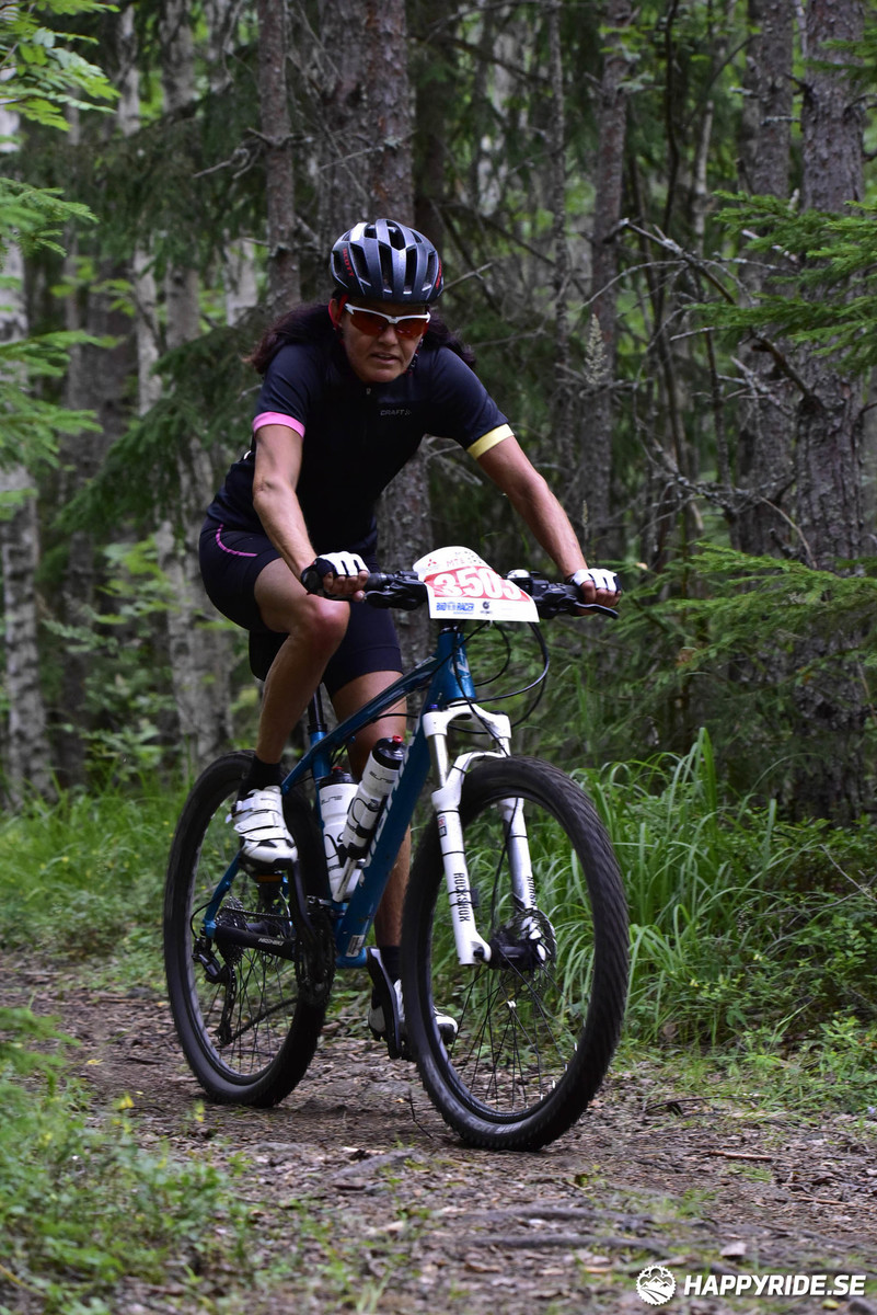 Bild från Engelbrektsturen 2019